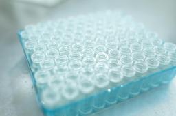 Laboratory tray representing the vitamin B complex